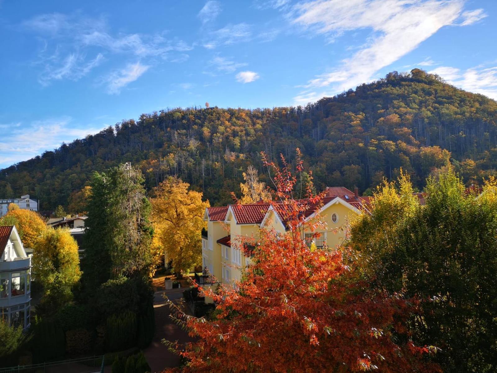 Bergliebe Διαμέρισμα Bad Harzburg Εξωτερικό φωτογραφία